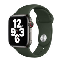 Ремешок для Apple watch 38/40/41mm Sport Band S/M Cyprus green